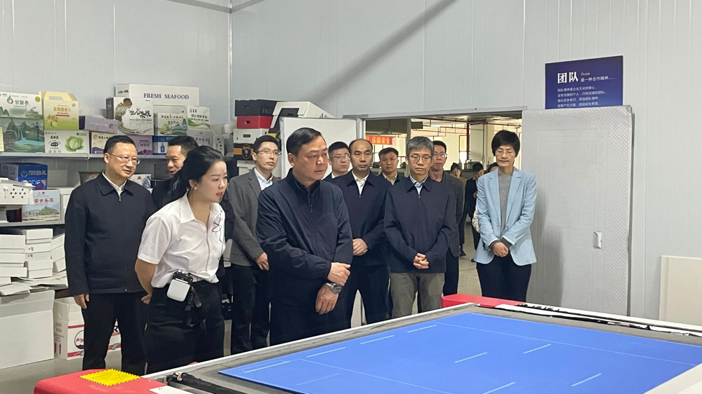 市政府主要領導蒞臨綠樹公司考察調(diào)研